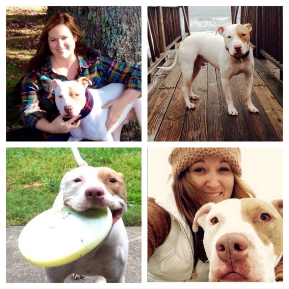 You Rocked It! Thank you! Here's to sales 😘😘😘 - Picture 2 of 7